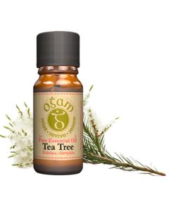 OGAM OIL TEA TREE