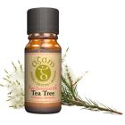 OGAM OIL TEA TREE